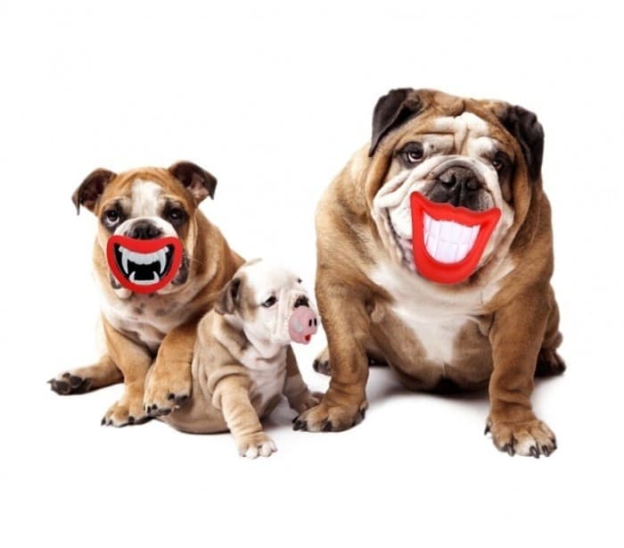 GIOCO DA MORDERE PER CANI SMILE CON SUONO IN GOMMA NATURALE DENTIERA PER CANI - 2