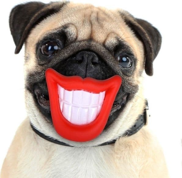 GIOCO DA MORDERE PER CANI SMILE CON SUONO IN GOMMA NATURALE DENTIERA PER CANI - 4