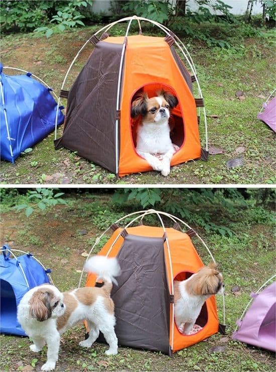 CUCCIA TENDA PORTATILE PER ANIMALI IMPERMEABILE DA ESTERNO RIPIEGABILE SPIAGGIA - 3