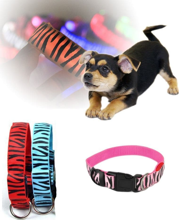 COLLARE PER CANE CANI A LED LUMINOSO SICUREZZA LED NOTTURNO CLIP FANTASIA TG.S - 2