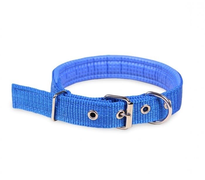 COLLARE IN NYLON C/ IMBOTTITURA PER CANI DI TG. MEDIA CHIUSURA FIBBIA REGOLABILE - 2