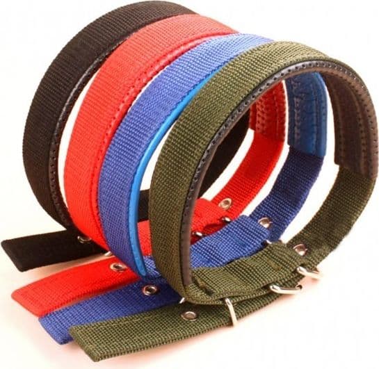 COLLARE IN NYLON C/ IMBOTTITURA PER CANI DI TG. MEDIA CHIUSURA FIBBIA REGOLABILE - 6
