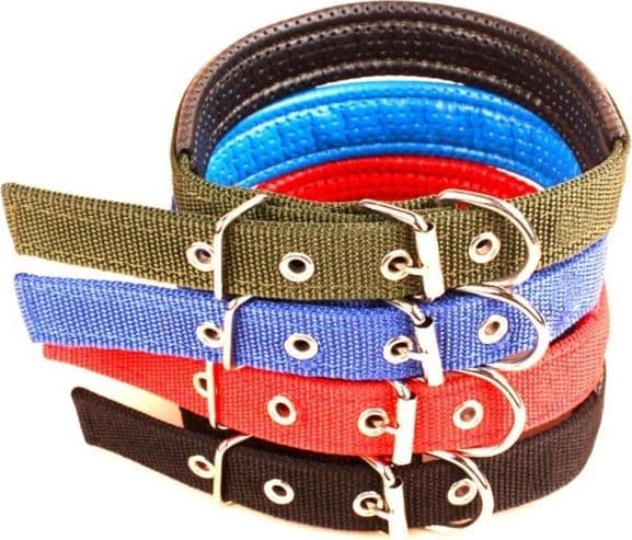 COLLARE IN NYLON C/ IMBOTTITURA PER CANI DI TG. MEDIA CHIUSURA FIBBIA REGOLABILE - 7