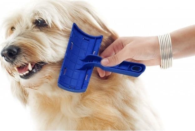 SPAZZOLA PER CANI E GATTI 8X14 CM CON CARDATORE PETTINI PER PELO PROTEZIONE AGHI - 3