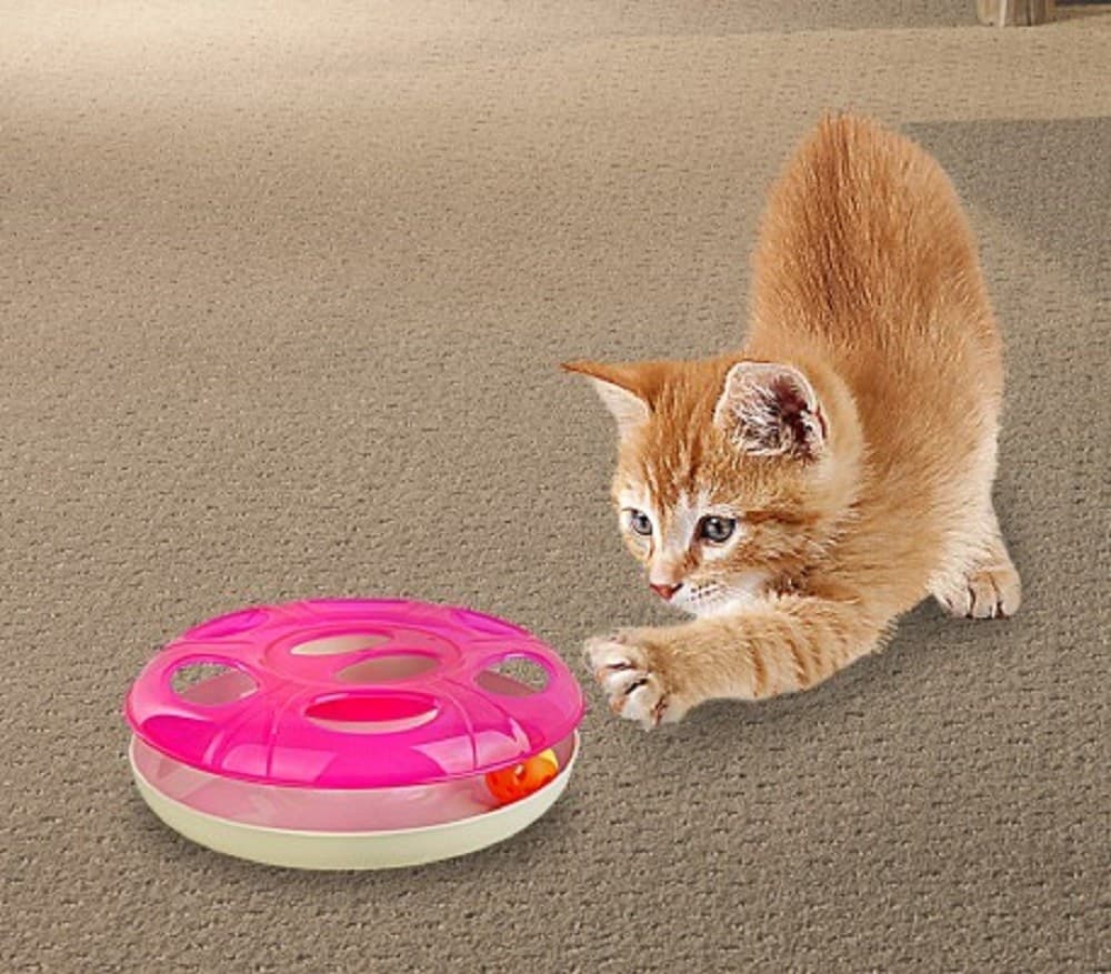 GIOCO PER GATTI GATTO INTERATTIVO IN PLASTICA CON PALLINA UFO Ø 25 CM CIRCA - 5