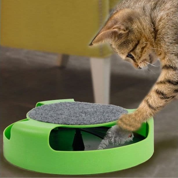 GIOCO PER GATTI 25 CM ACCHIAPPA IL TOPO DUPLICE FUNZIONE CON TIRAGRAFFI - 6