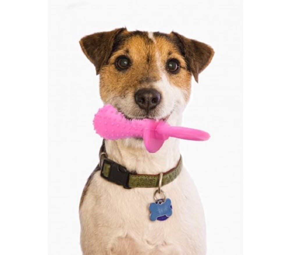 GIOCO RIPORTINO PER ANIMALI CIUCCIO IN GOMMA SONORO 14 CM MORBIDO PER CANI GATTI - 4