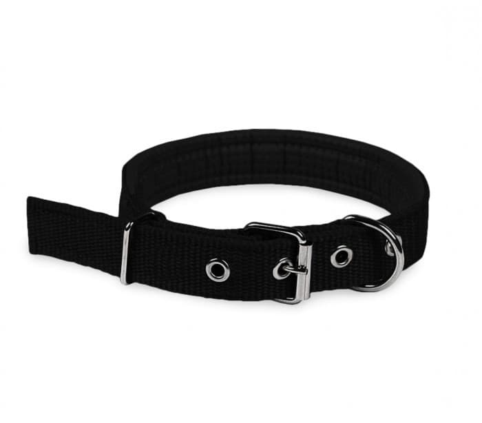 COLLARE IN NYLON CON IMBOTTITURA PER CANI PICCOLA TG. CHIUSURA FIBBIA REGOLABILE - 3