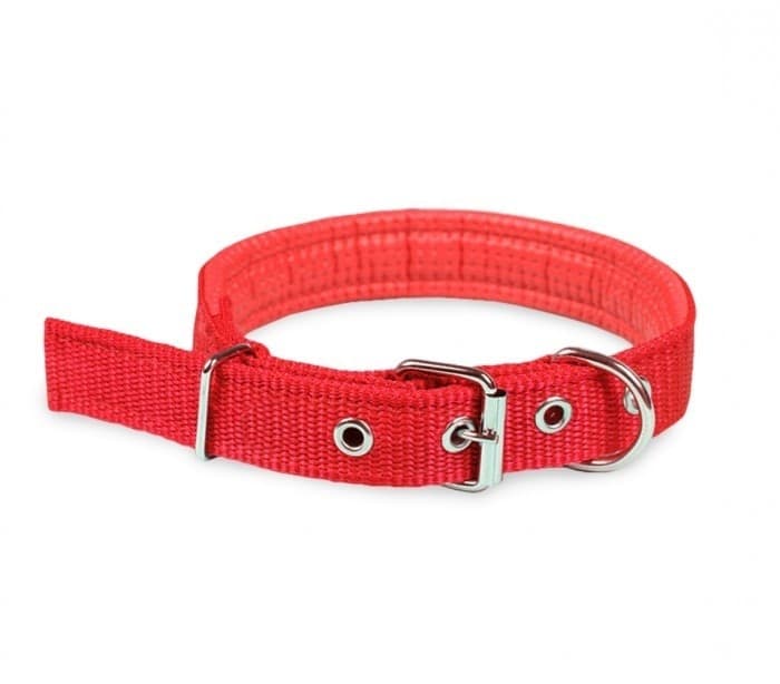 COLLARE IN NYLON CON IMBOTTITURA PER CANI PICCOLA TG. CHIUSURA FIBBIA REGOLABILE - 4