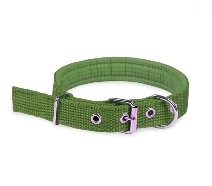 COLLARE IN NYLON CON IMBOTTITURA PER CANI PICCOLA TG. CHIUSURA FIBBIA REGOLABILE - 5