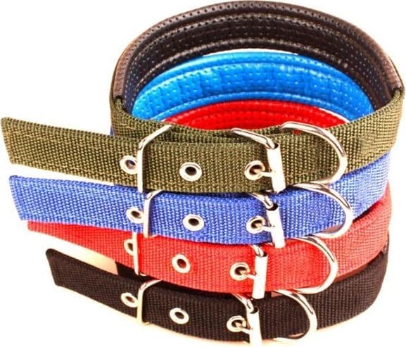 COLLARE IN NYLON CON IMBOTTITURA PER CANI PICCOLA TG. CHIUSURA FIBBIA REGOLABILE - 7