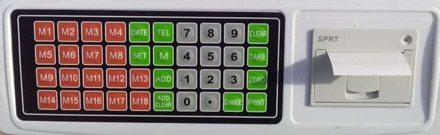 BILANCIA PROFESSIONALE DA BANCO DIGITALE MAX 50KG 5 GR CON DISPLAY CON SCONTRINO - 3