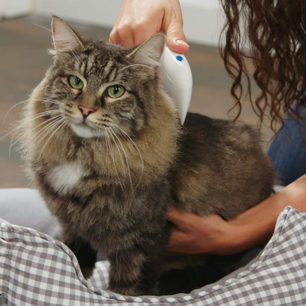 PETTINE SPAZZOLA ELETTRICA PERFETTO PER PELO GATTO CANE ANTIPULCI BATTERIE - 12
