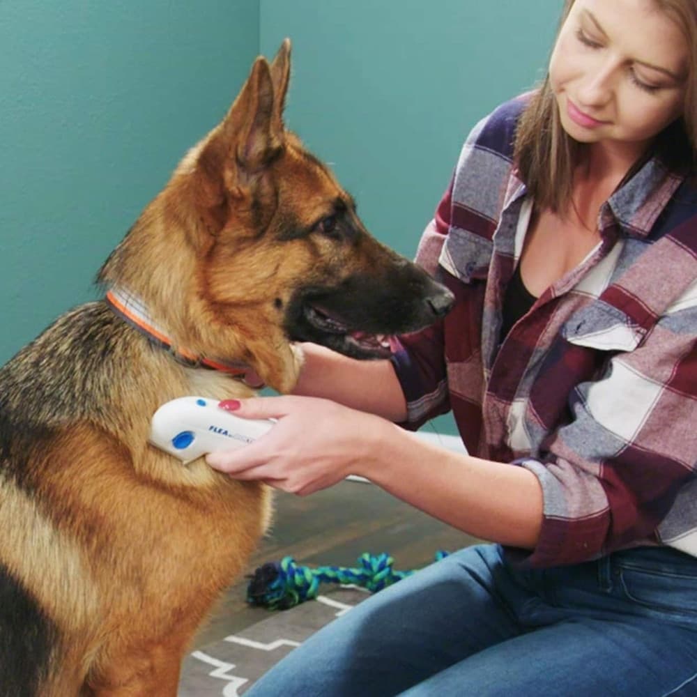 PETTINE SPAZZOLA ELETTRICA PERFETTO PER PELO GATTO CANE ANTIPULCI BATTERIE - 8