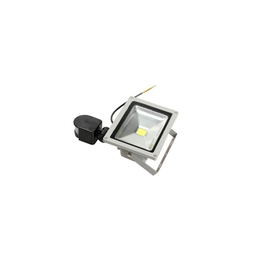 FARO DA 20W CON SENSORE DI MOVIMENTO FARETTO A LED LUCE BIANCA 220V - 6