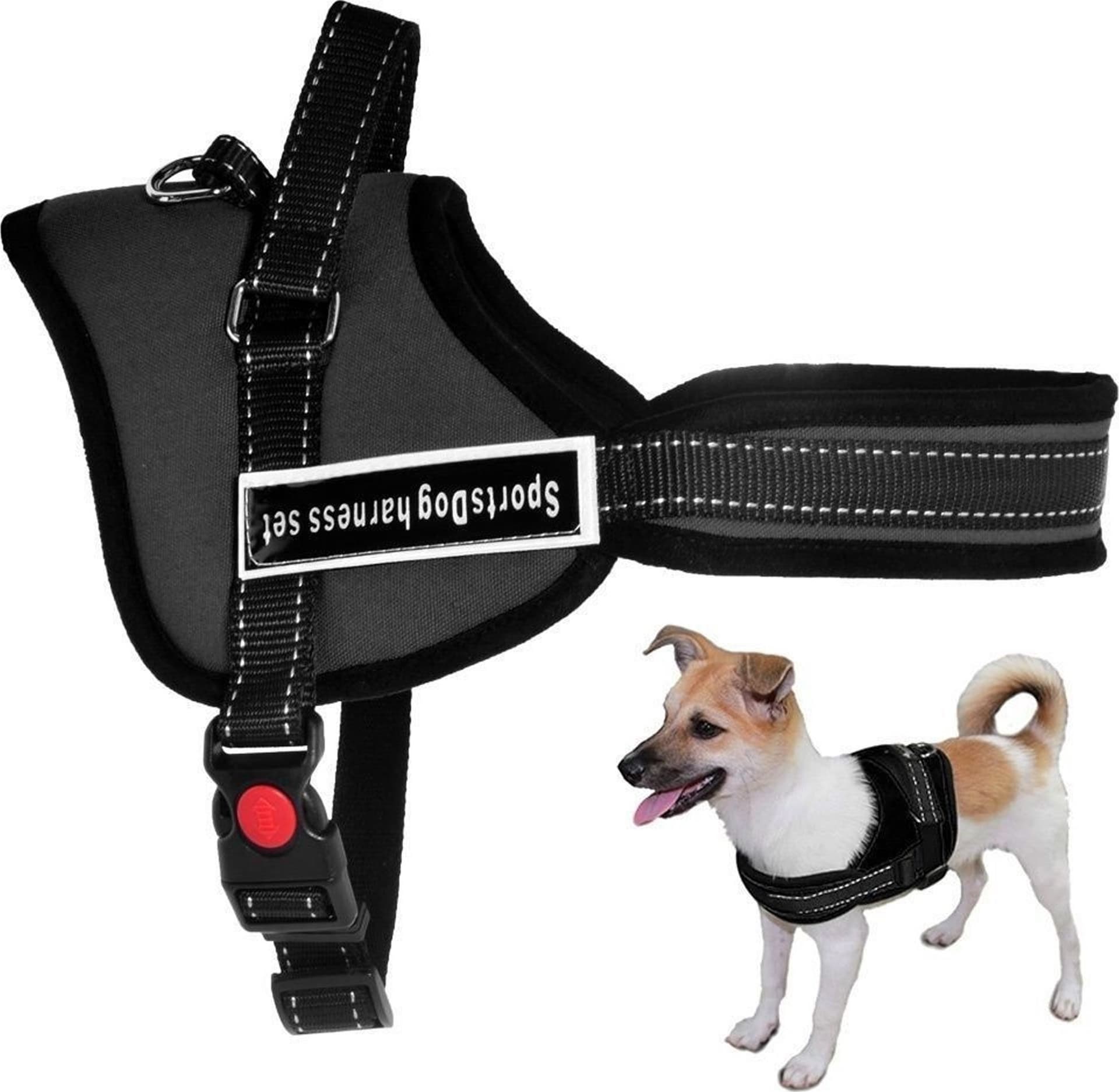 PETTORINA CINGHIA CANI CANE BARDATURA CINTURA IMBRAGATURA ADDESTRAMENTO - 3