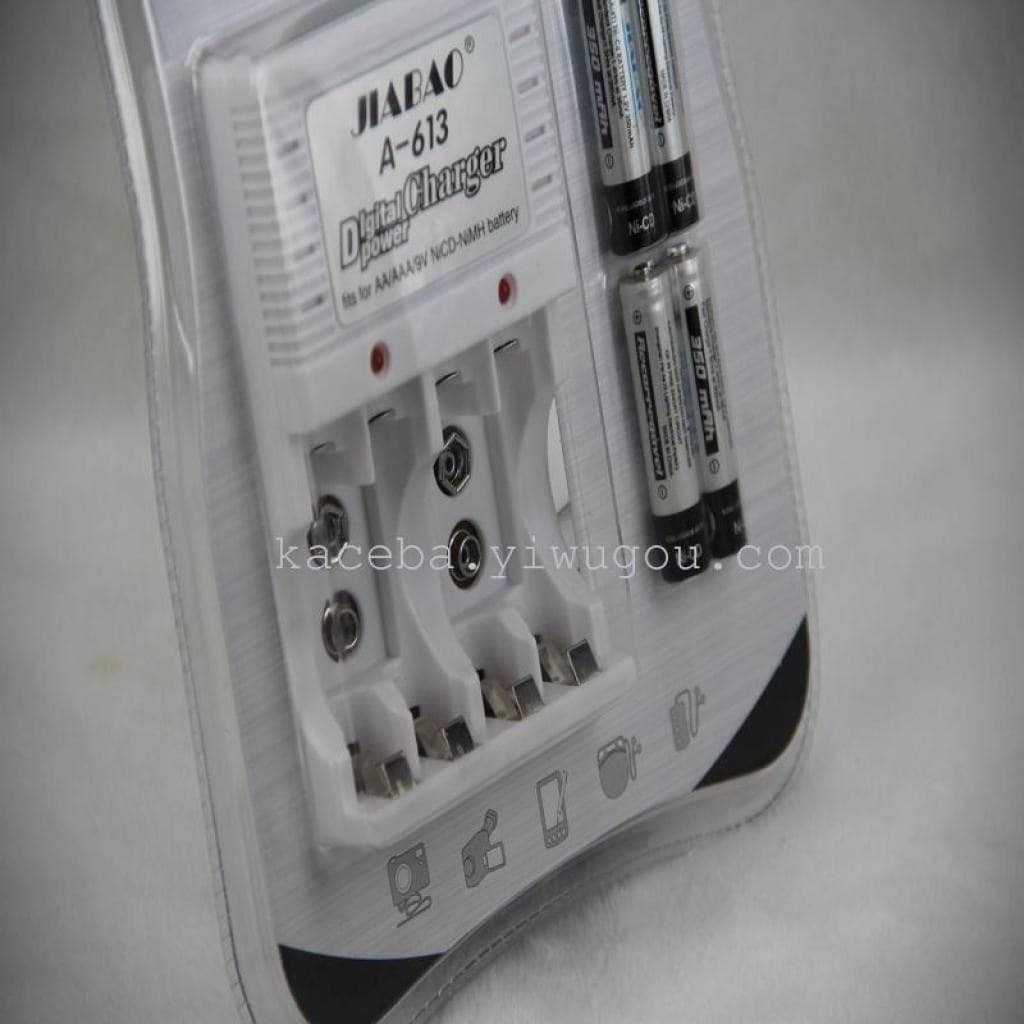 CARICABATTERIE PER PILE RICARICABILI CARICA BATTERIA AA / AAA / 9V A-613 - 3