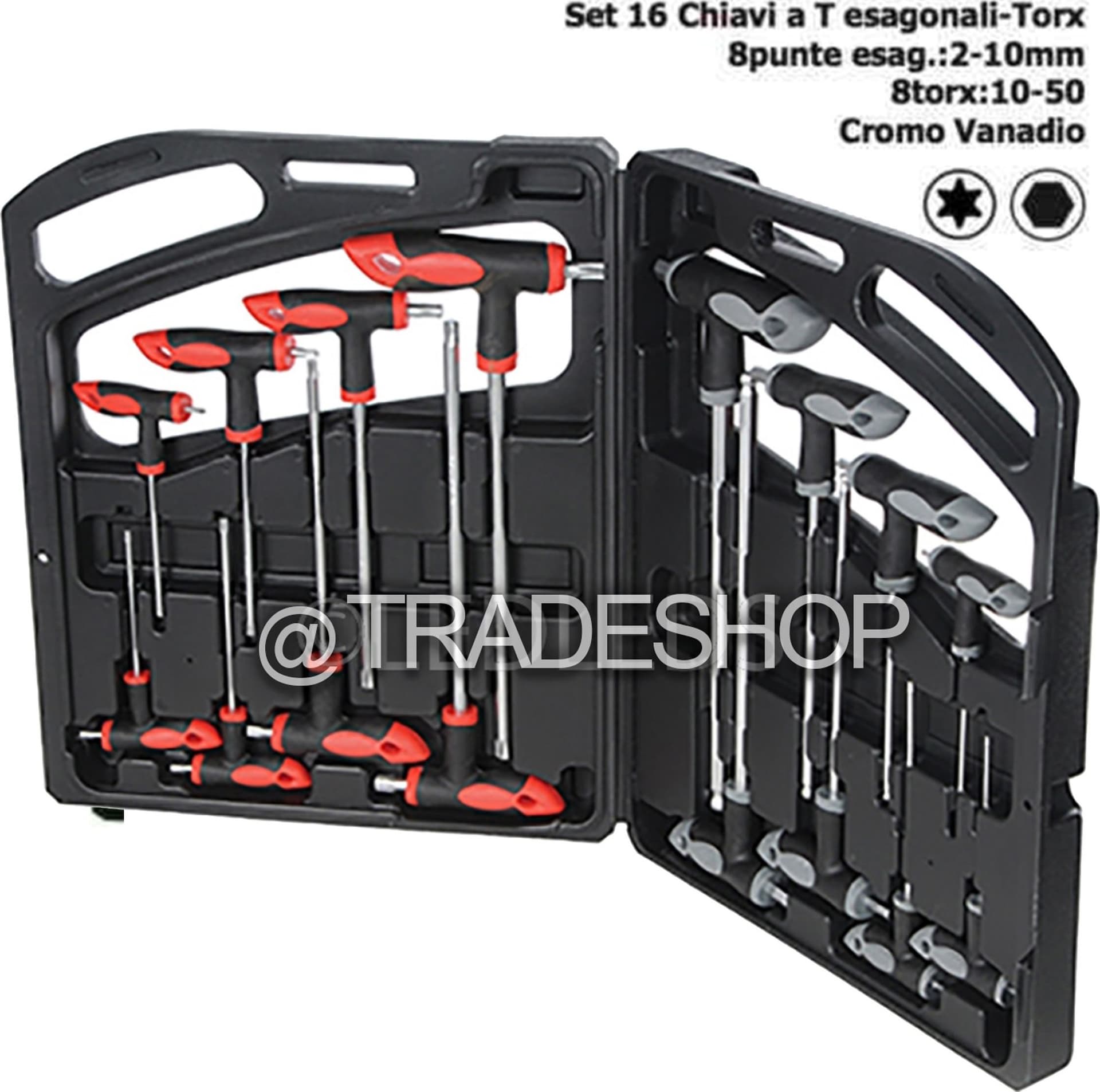 SET KIT 16 PZ CHIAVI CHIAVE A T ESAGONALI E TORX LUNGHE VALIGETTA PROFESSIONALI - 2