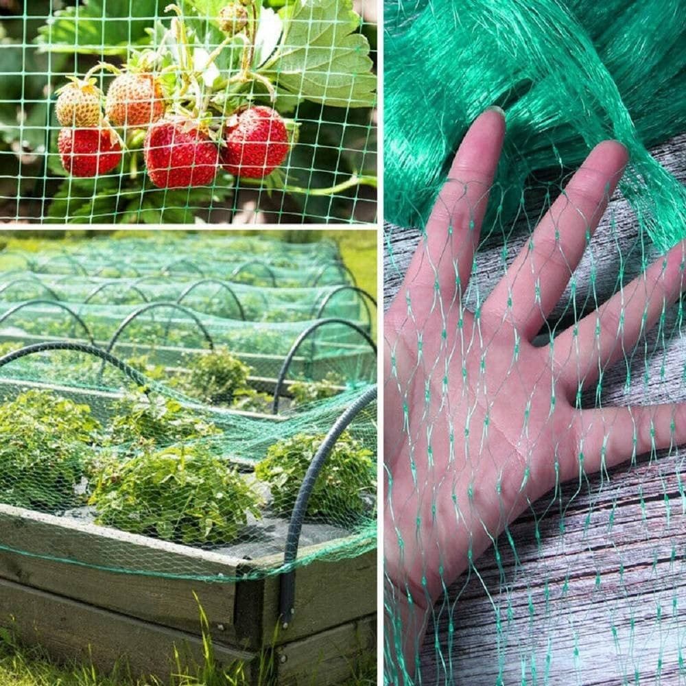 RETE ANTI UCCELLI VERDE IN POLIETILENE PROTEZIONE GIARDINO ORTO PIANTE 2 X 10 MT - 2