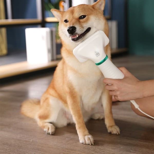SPAZZOLA E PHON ASCIUGATORE PER CANI E GATTI ANIMALI DOMESTICI 2 IN 1 TOELETTA - 10