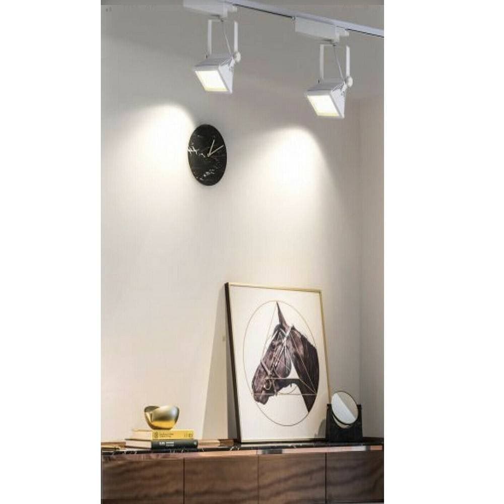 FARO PROIETTORE ORIENTABILE 30W LUCE 6500K 4000K FARETTO LED COB BINARIO F30W-6A - 6
