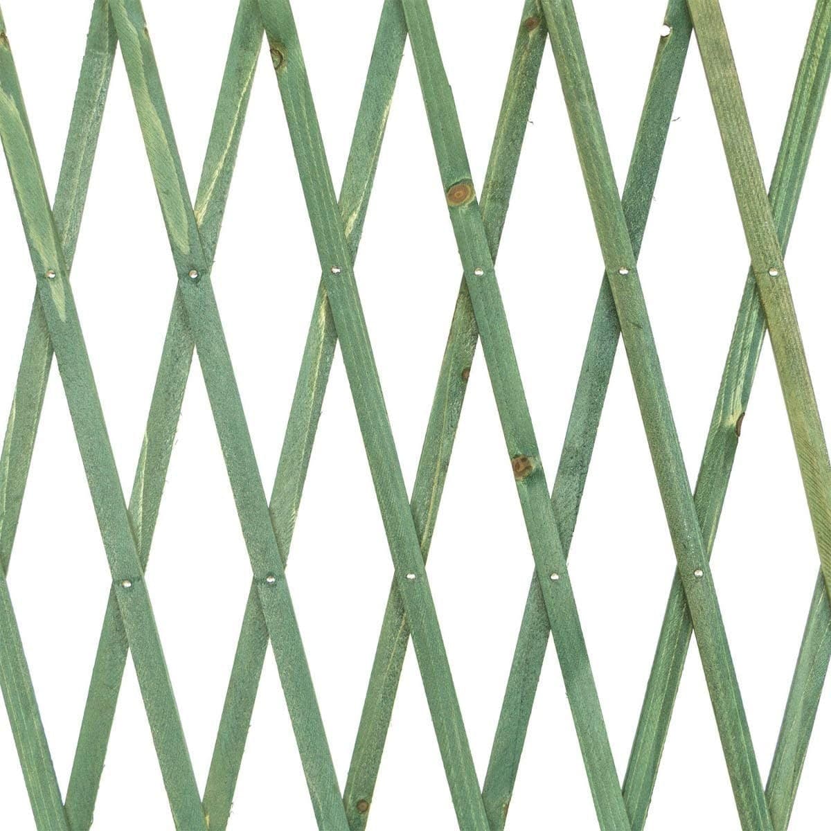 TRALICCIO RETE ESTENSIBILE IN LEGNO VERDE PER PARETE DA GIARDINO PIANTE 100X200 - 4