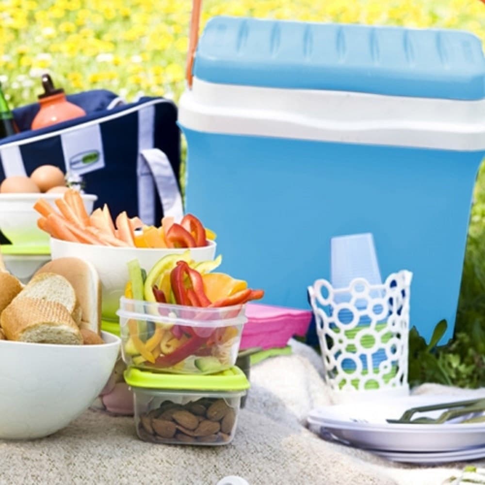 FRIGORIFERO PORTATILE 22,5 LITRI FRIGO AZZURRO AUTO CAMPER PICNIC CAMPEGGIO - 2