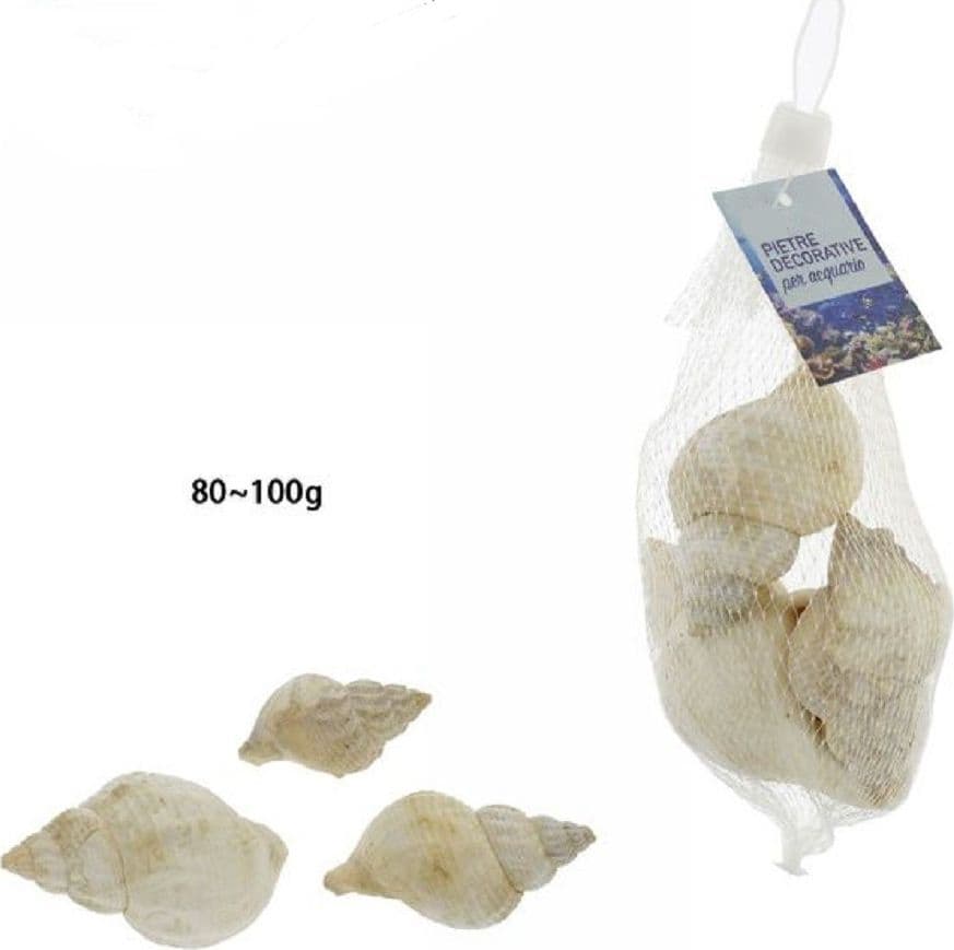 SACCHETTO DA 80 - 100 GR CONCHIGLIE DI MARE DECORAZIONE ORNAMENTO ACQUARIO 70285