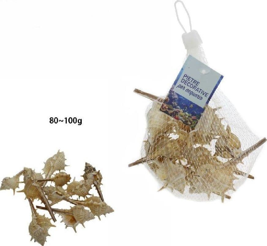 SACCHETTO DI CONCHIGLIE MARE ARREDO DECORAZIONE PER ACQUARIO DA 80-100 GR. 70283