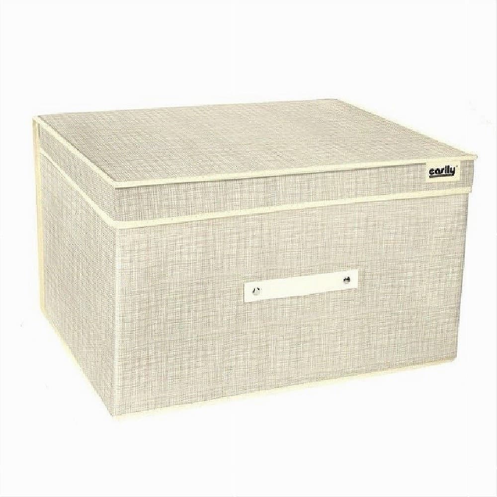 BOX SCATOLA SALVASPAZIO PORTATUTTO CONTENITORE ORGANIZER 20 X 30 X 35 CM 69693 - 4
