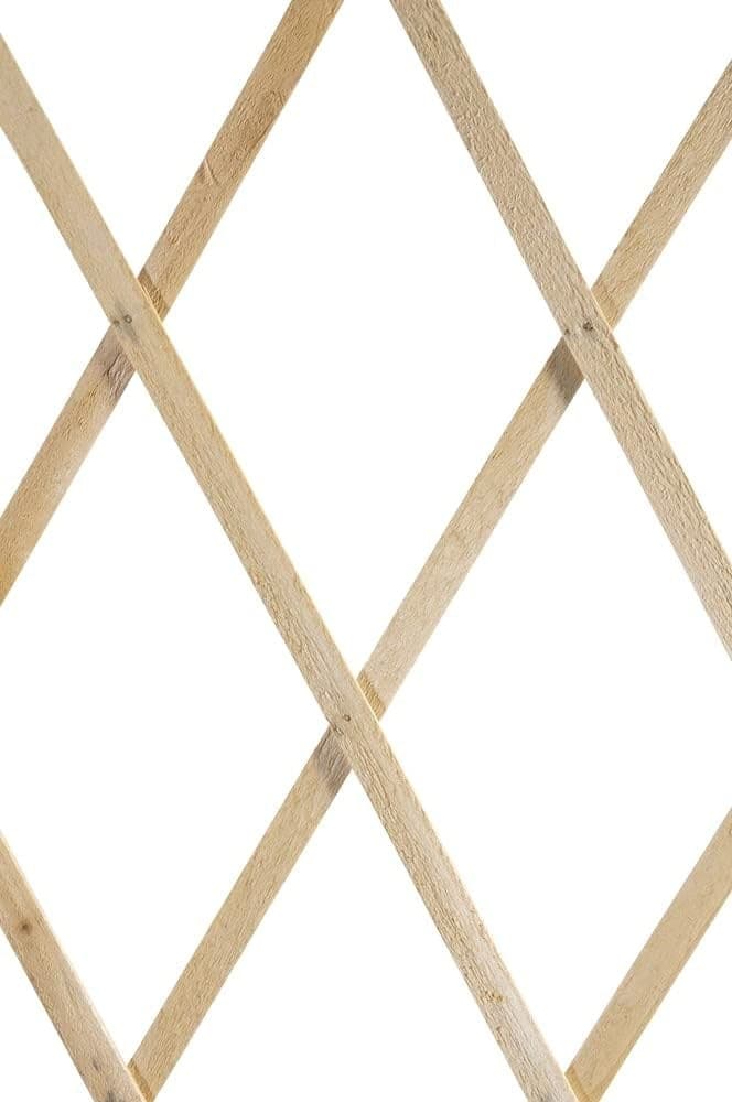 TRALICCIO LEGNO RETE ESTENSIBILE PIANTE RAMPICANTI STACCIONATA 100X200 CM 206429 - 3