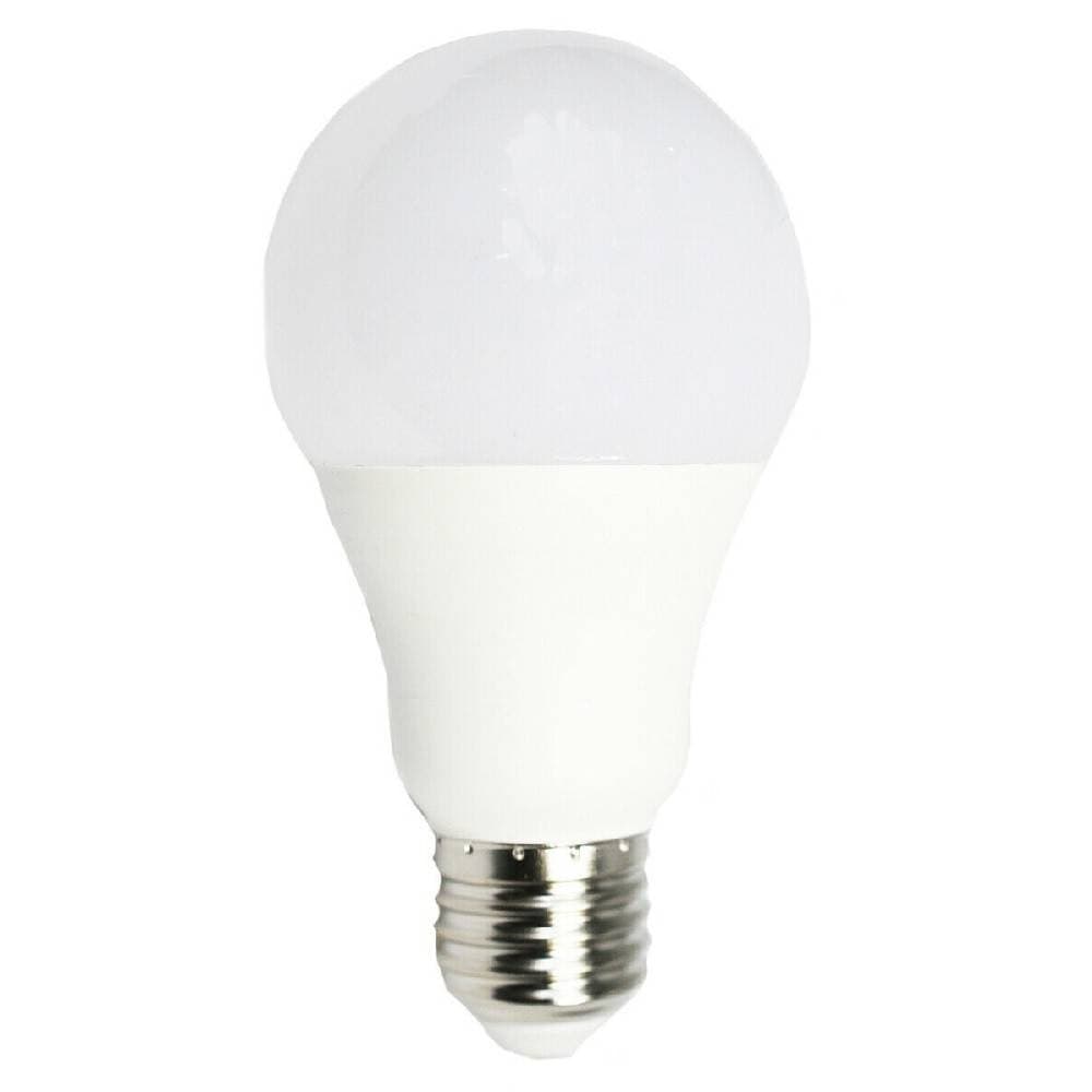 LAMPADINA LED 13.5 W A65 ATTACCO E27 SFERA LUCE 6500K 3000K 4000K LAMPADA A6509 - 2