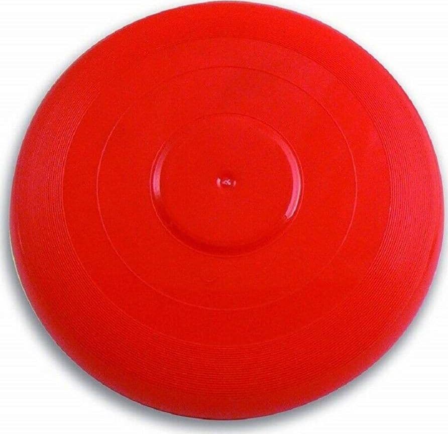 FRISBEE DISCO VOLANTE DIAMETRO 27 CM COLORATO GIOCO MARE SPIAGGIA