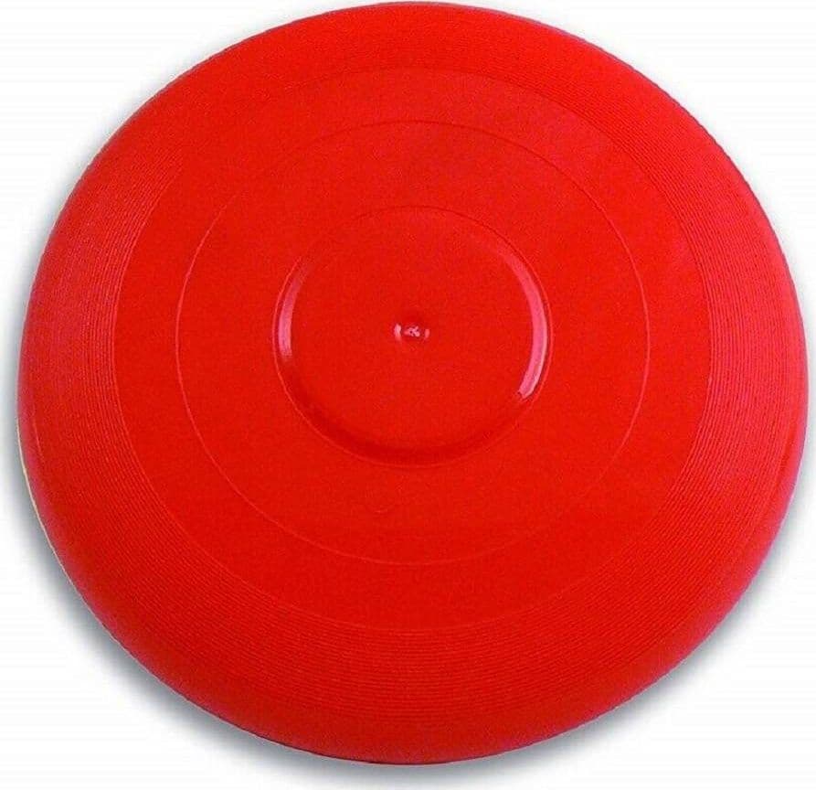 FRISBEE DISCO VOLANTE DIAMETRO 27 CM COLORATO GIOCO MARE SPIAGGIA - 1