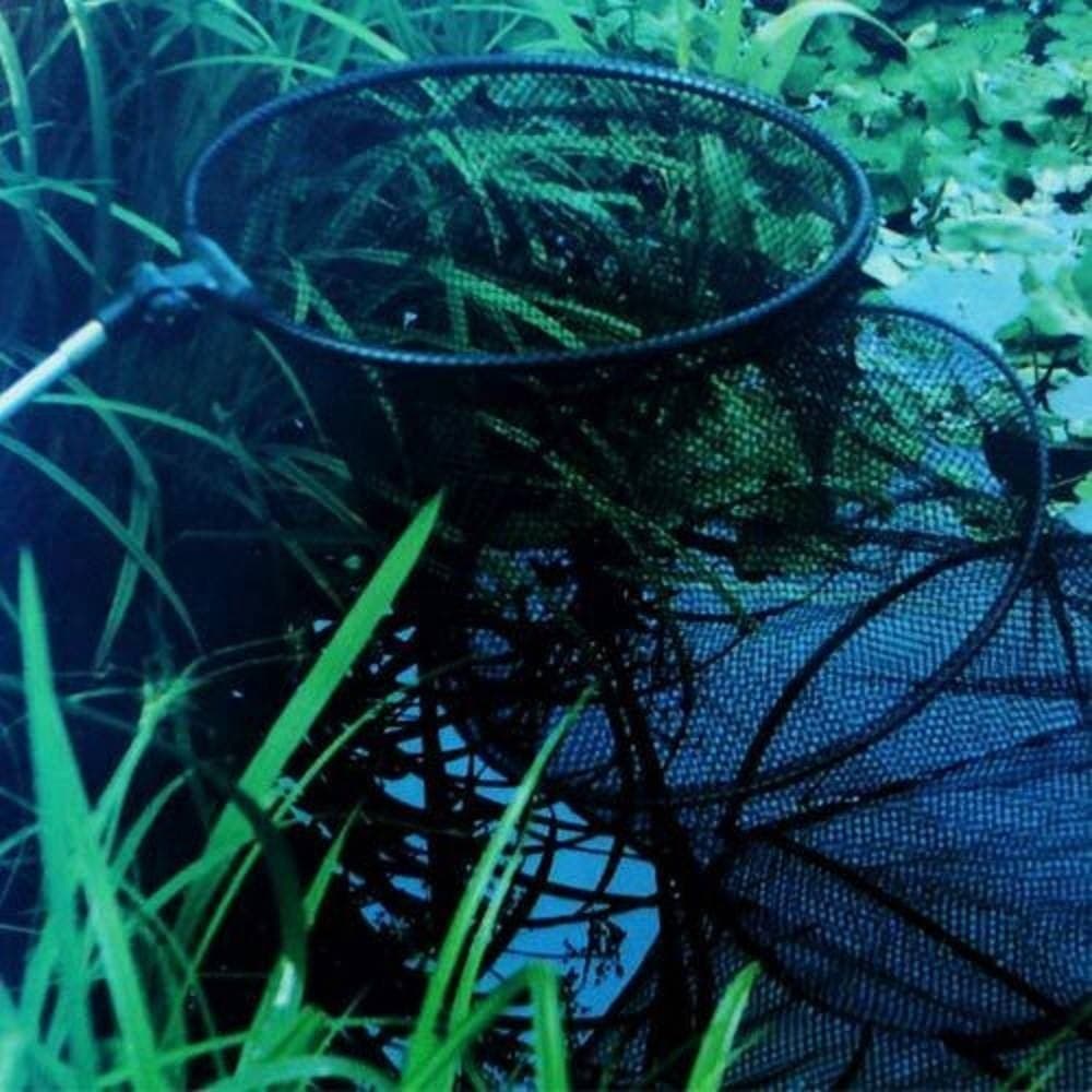 RETE DA PESCA CON PALO ALLUMINIO PESCI GAMBERI 36X140 CM KIT MARE LAGO FIUME - 3