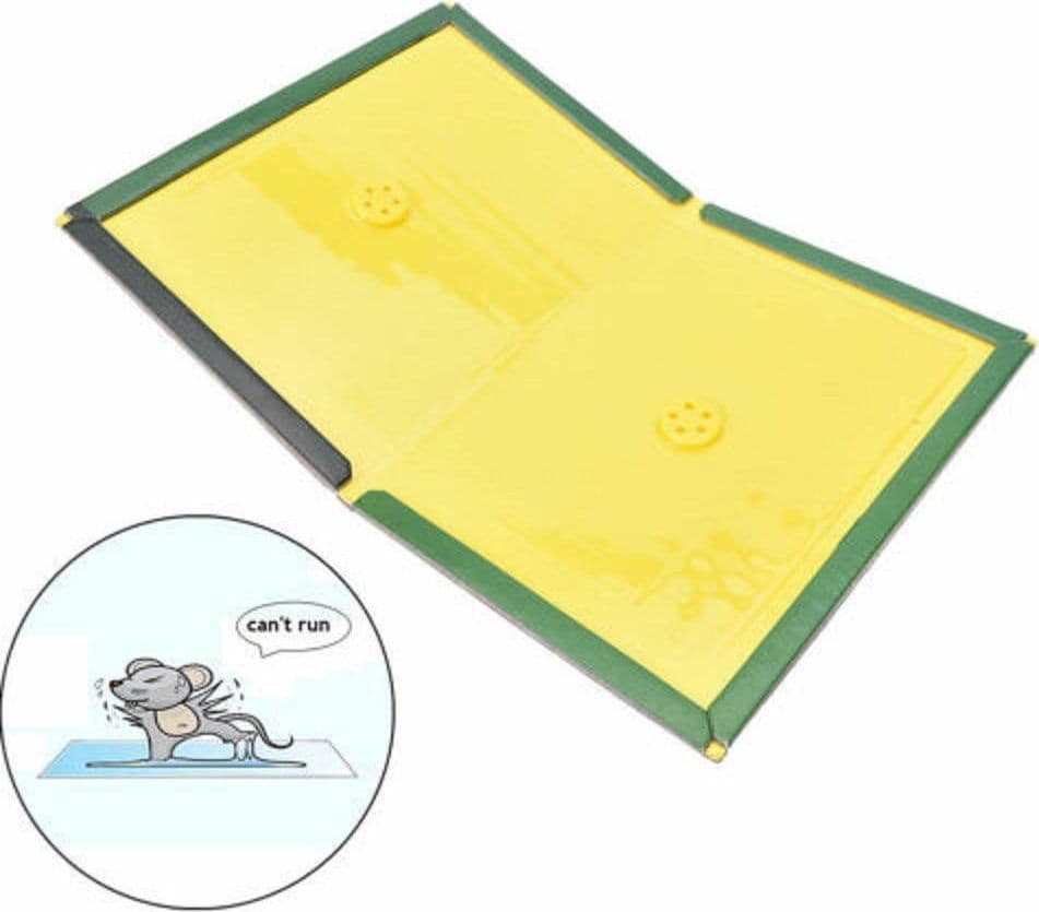 TRAPPOLA PER TOPI E RATTI CON COLLA ADESIVA SUPER FORTE TOPO RATTO INSETTI CASA