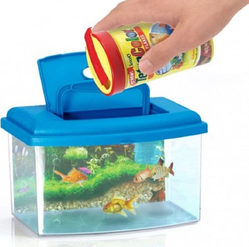 ACQUARIO RETTANGOLARE IN PLASTICA RIGIDA 3 LITRI CON COPERCHIO 22 X 16 X 14 CM - 7