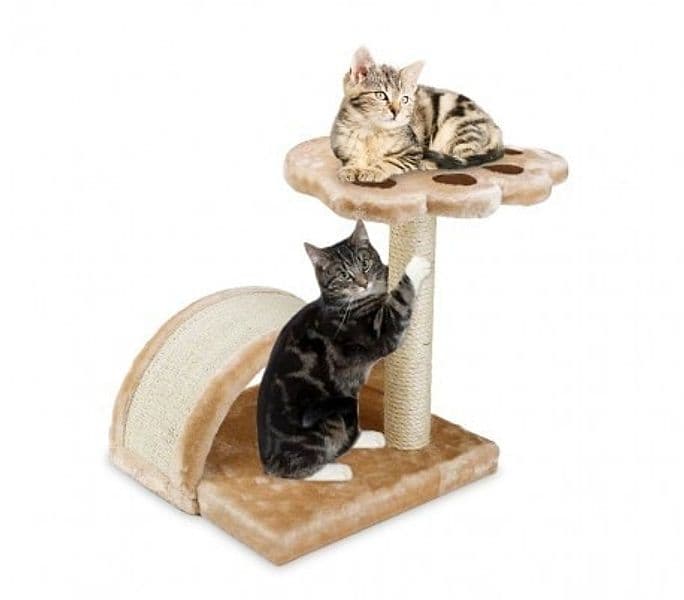 PALESTRA CON TIRAGRAFFI PER GATTI GATTO CON COLONNA IN SISAL E RIPIANO - 5