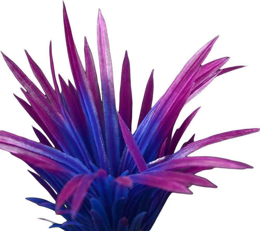 PIANTA PIANTINA ARTIFICIALE PER ACQUARIO PIANTE FINTE PLASTICA VIOLA BLU PUNTA - 3