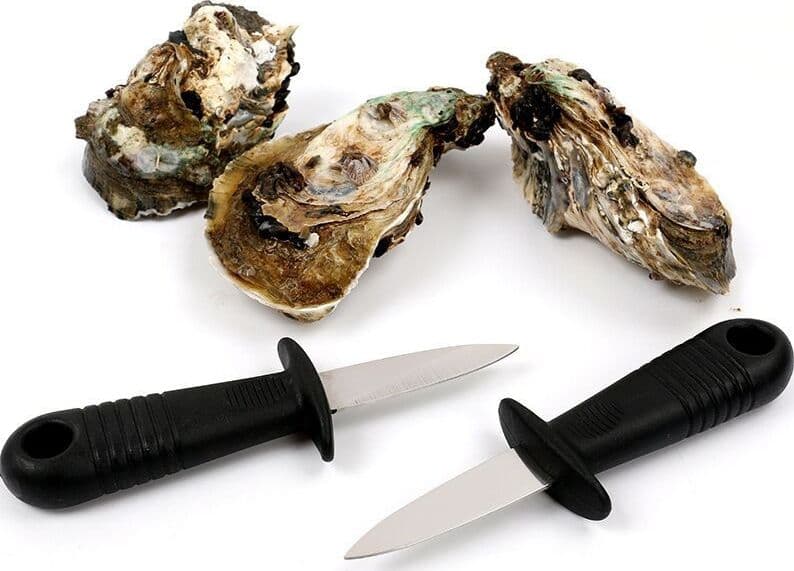 Coltelli da ostriche da cucina