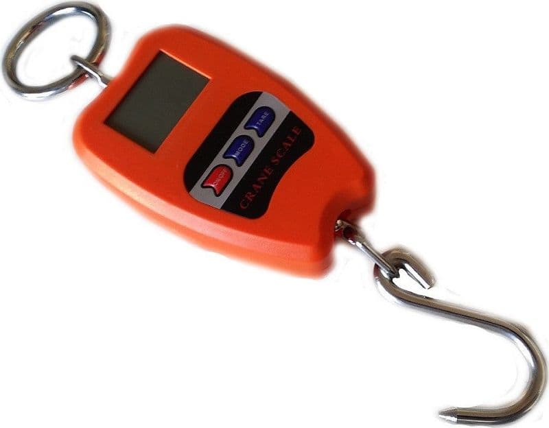BILANCIA DIGITALE PROFESSIONALE GANCIO DINAMOMETRO MOLLA 200 KG SOSPESA MOLLA - 3