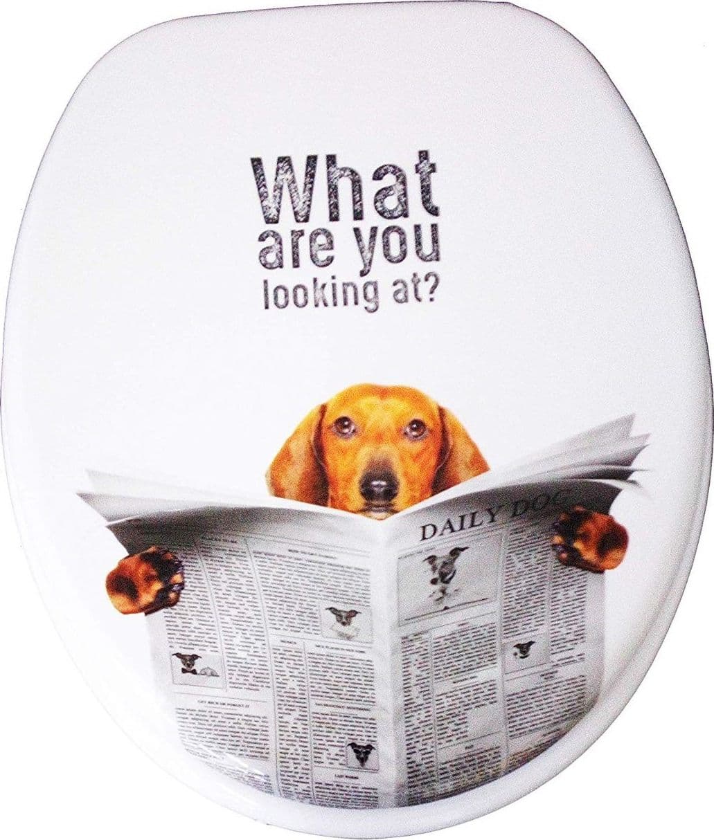 COPRIWATER UNIVERSALE CAGNOLINO CON GIORNALE ESY_69003 SEDILE BAGNO WC WATER