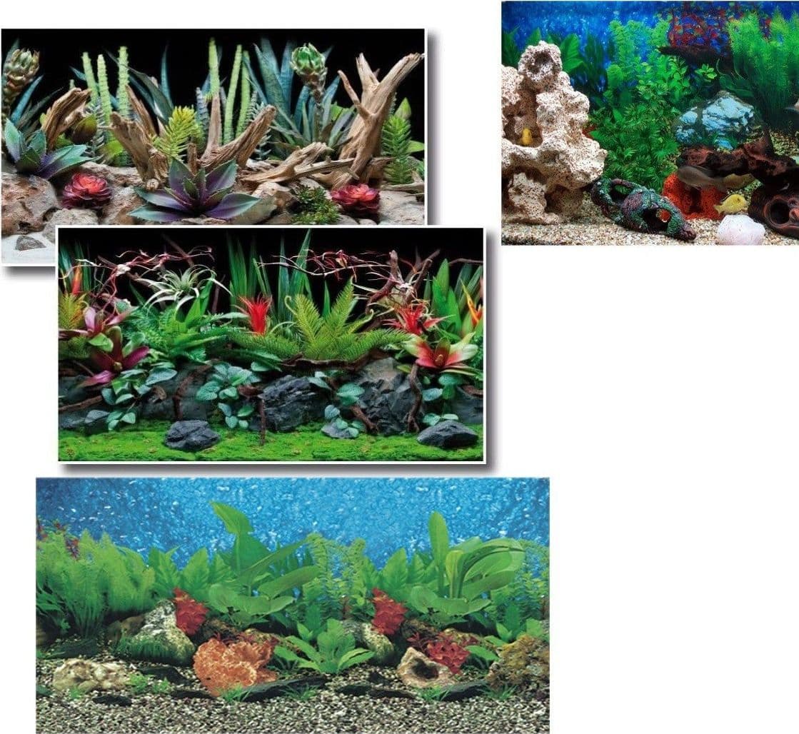 SFONDO PER ACQUARIO 50X115 CM PELLICOLE IMMAGINI ESTERNE RETRO POSTER