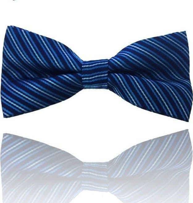 PAPILLON STRISCE AZZURRO RIGHE CRAVATTINO FARFALLINO CRAVATTA FRACK PAPION
