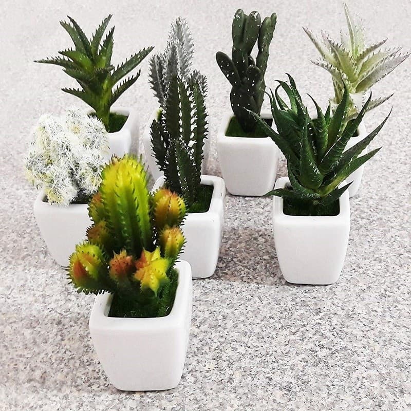 PIANTINA GRASSA FINTA VASO CERAMICA QUADRATO 5x11CM DECORAZIONE UFFICI BOMBONIERA