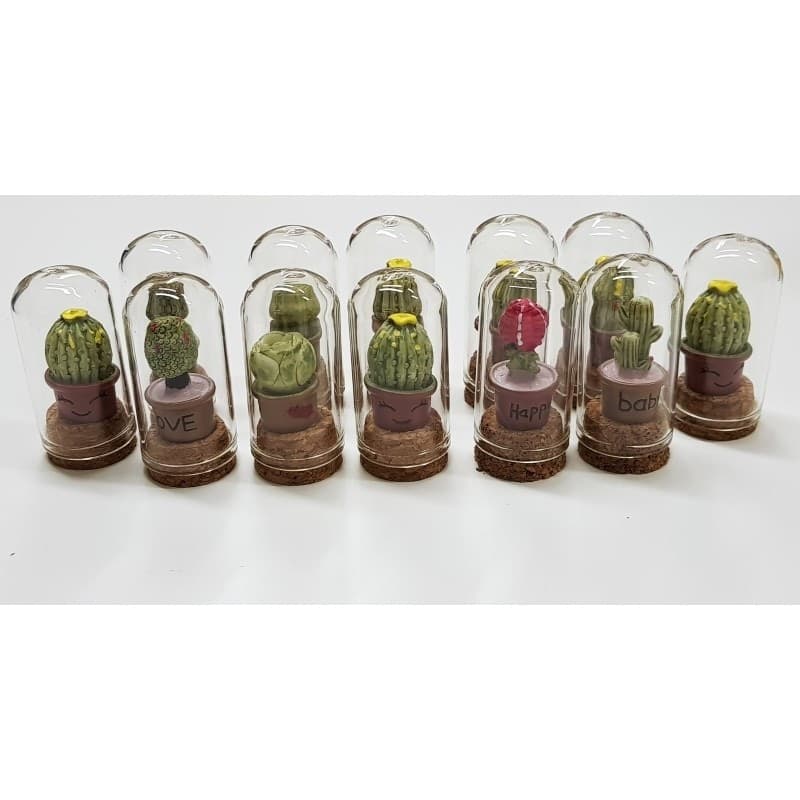 24 BOMBONIERA AMPOLLA CUPOLA CACTUS VETRO TAPPO SUGHERO NASCITA BATTESIMO WEDDING - 2