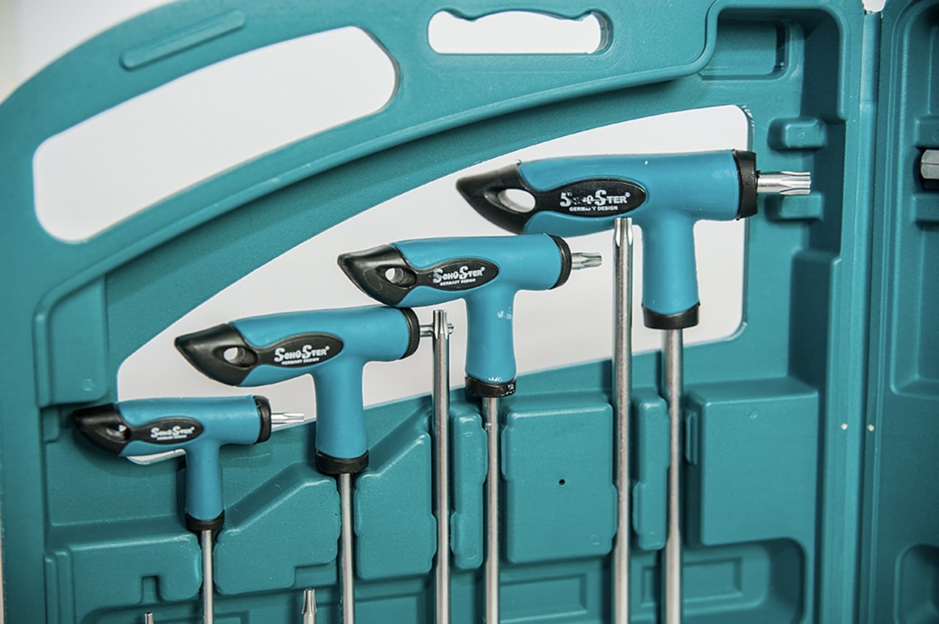 SET 16 PZ CHIAVI KIT CHIAVE A T ESAGONALI E TORX LUNGHE VALIGETTA PROFESSIONALI - 4