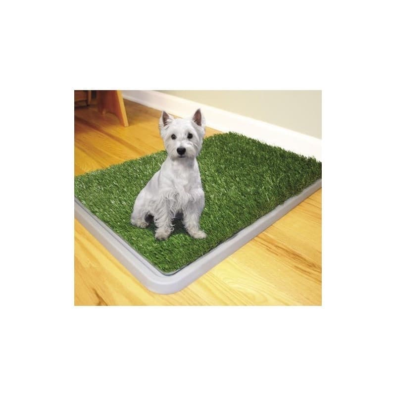 DOG TOILETTE CANI POTTY PATCH LETTIERA WC LAVABILE 3 STRATI BISOGNI ANIMALI 43 x 68 CM