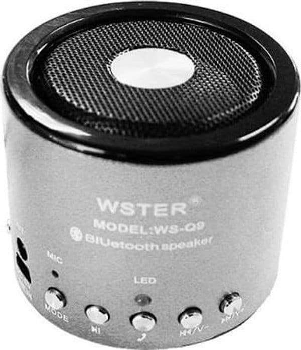 MINI SPEACKER CASSA BLUETOOTH PORTATILE CON RADIO MP3 WSQ9 PER SMARTPHONE DA 5W - 5