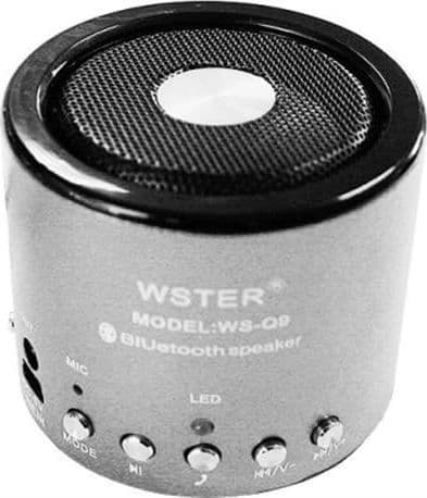 MINI SPEACKER CASSA BLUETOOTH PORTATILE CON RADIO MP3 WSQ9 PER SMARTPHONE DA 5W - 5